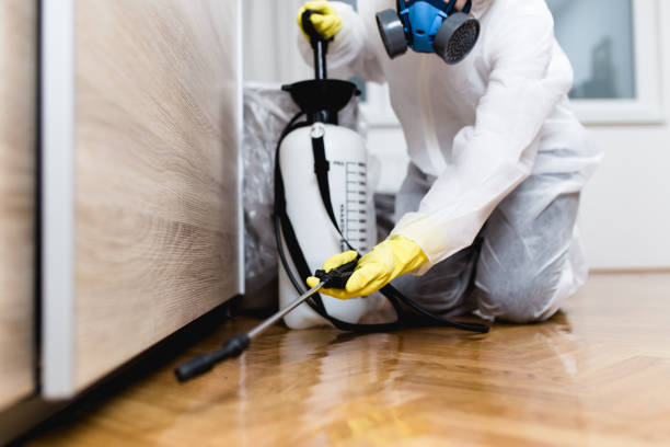 Best Pest Removal Services  in Maize, KS