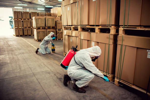 Best Best Pest Control Companies  in Maize, KS