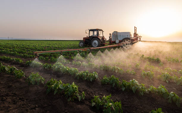 Best Flea Control Services  in Maize, KS
