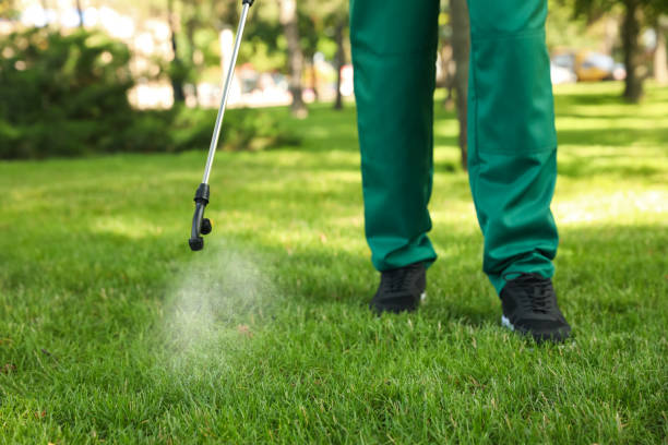 Best Affordable Pest Control Services  in Maize, KS