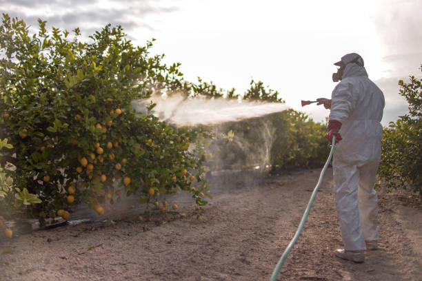 Best Pest Prevention Services  in Maize, KS