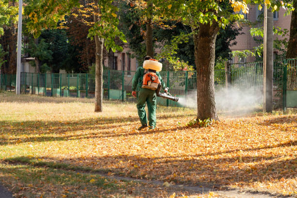 Flea Control Services in Maize, KS