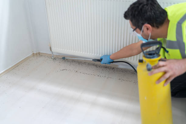 Best Affordable Pest Control Services  in Maize, KS