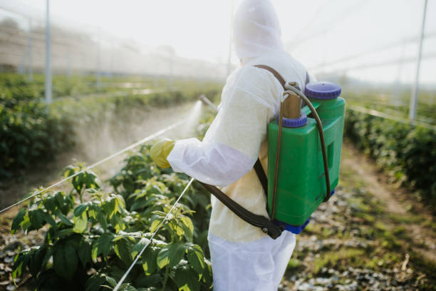 Pest Prevention Services in Maize, KS